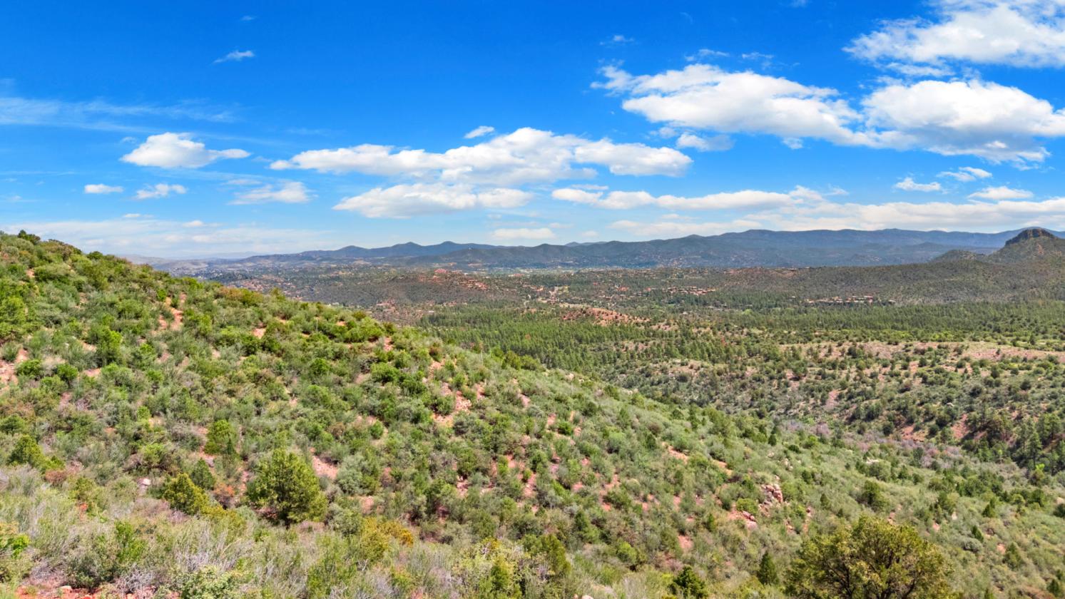 WHERE THE FOREST MEETS THE HORIZON - photo 14
