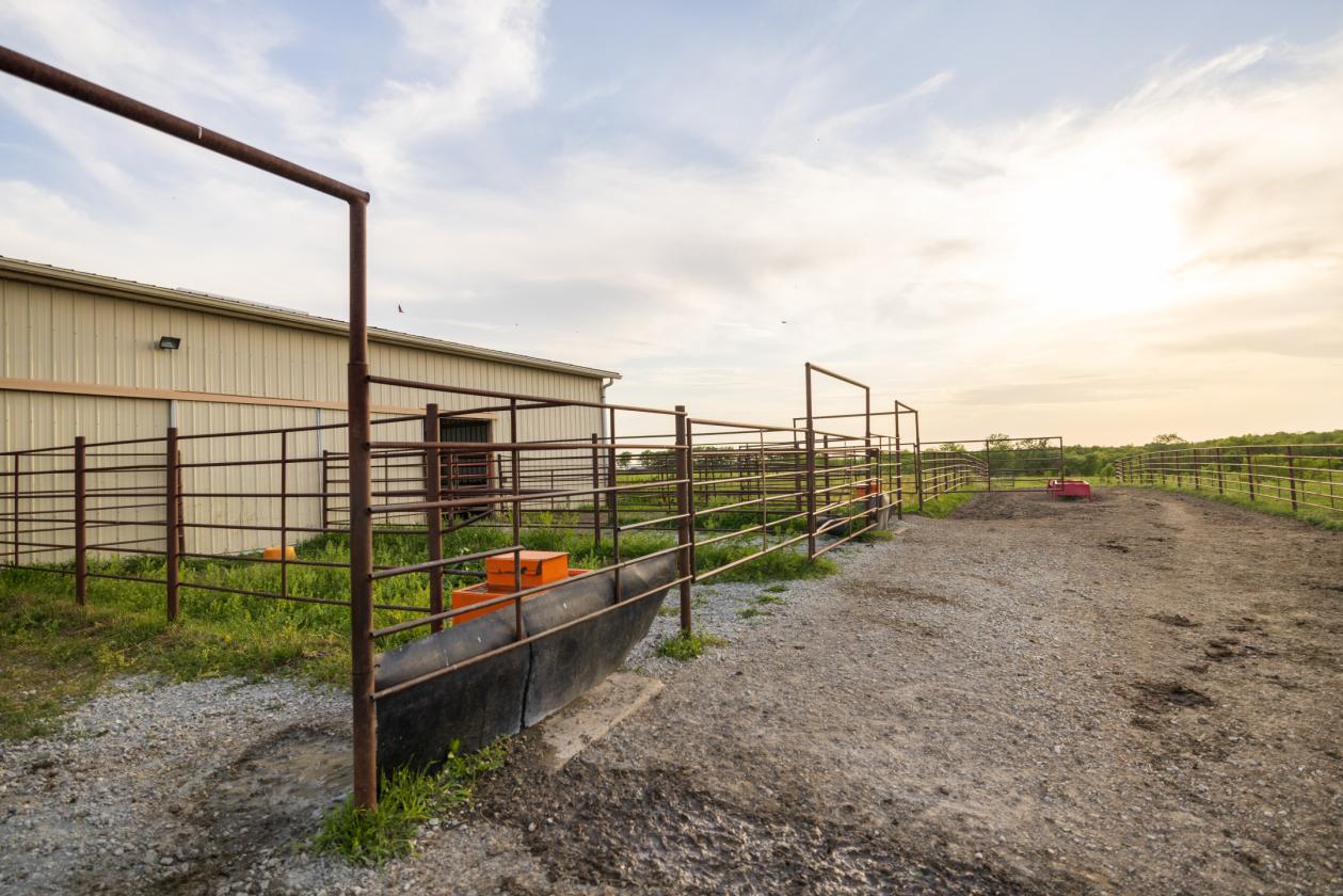 273.5 +/- Acre Turn-Key Cattle and Horse Property - photo 29
