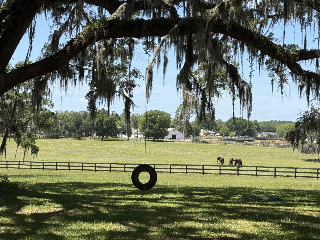 Tiffany Farm - 108 Acres - photo 26
