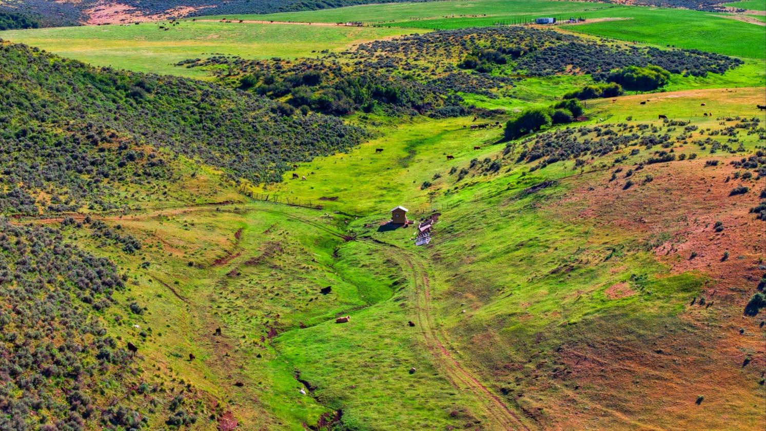 117-Acre Horse Property & Farm - photo 12