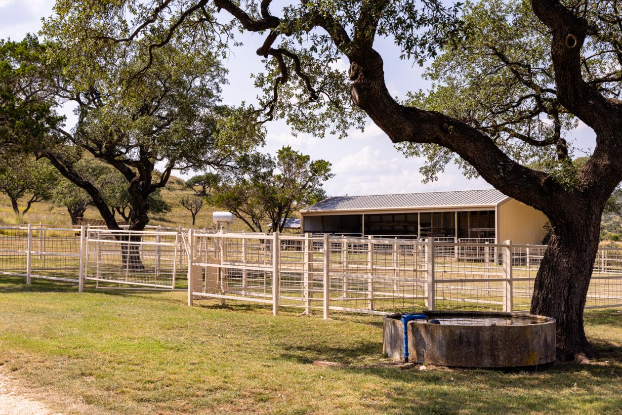 Grand View Ranch - photo 10