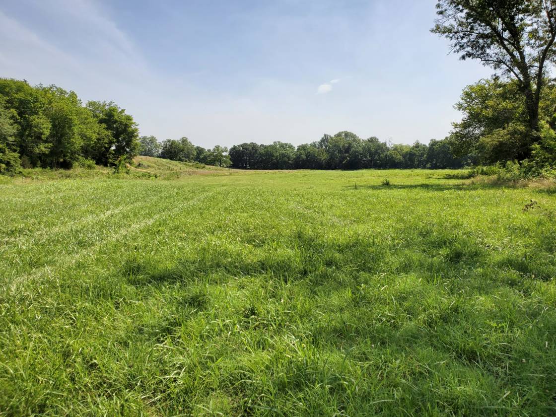 Strawberry River Ranch Oxford, Izard County, Arkansas
