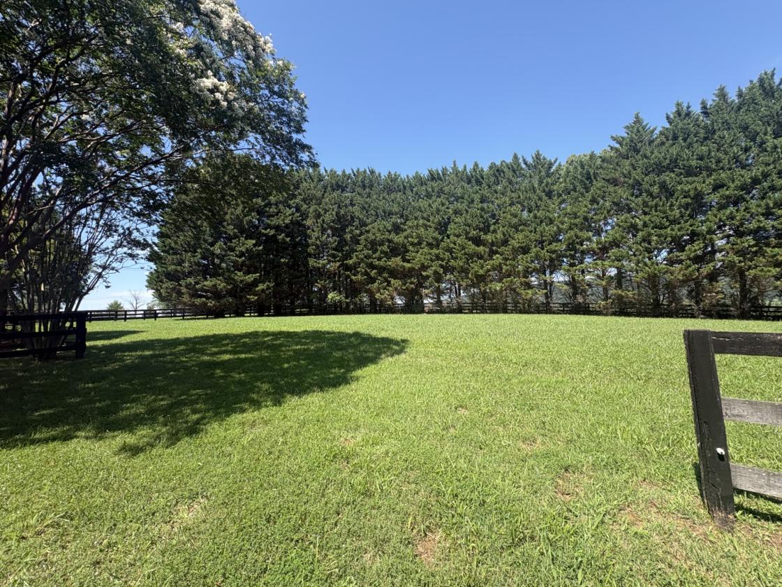 Keswick Hunt Country - Equestrian Rental - photo 29