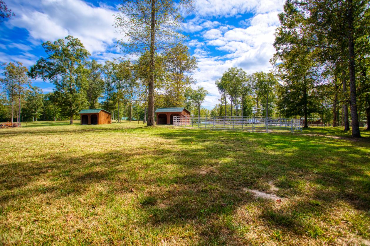 TRUE Honest Abe LOG HOME-9.14 acres - Spruce Creek - photo 29