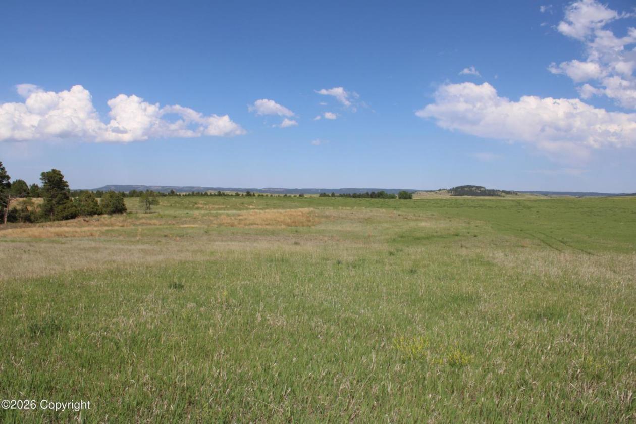 Tract 14 Belle River Ranch- NO Covenants -35+ Acre - photo 7