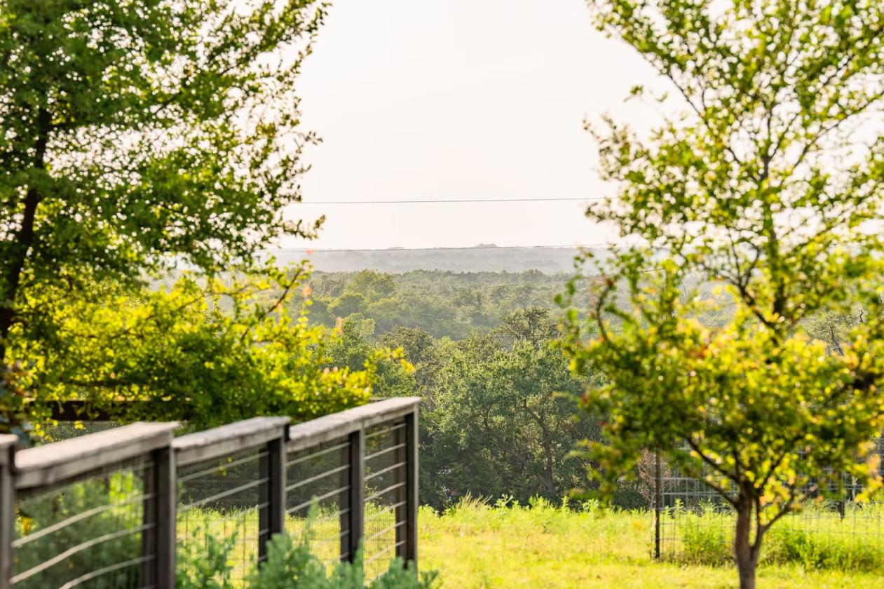 Hill Country Horse Ranch - photo 30