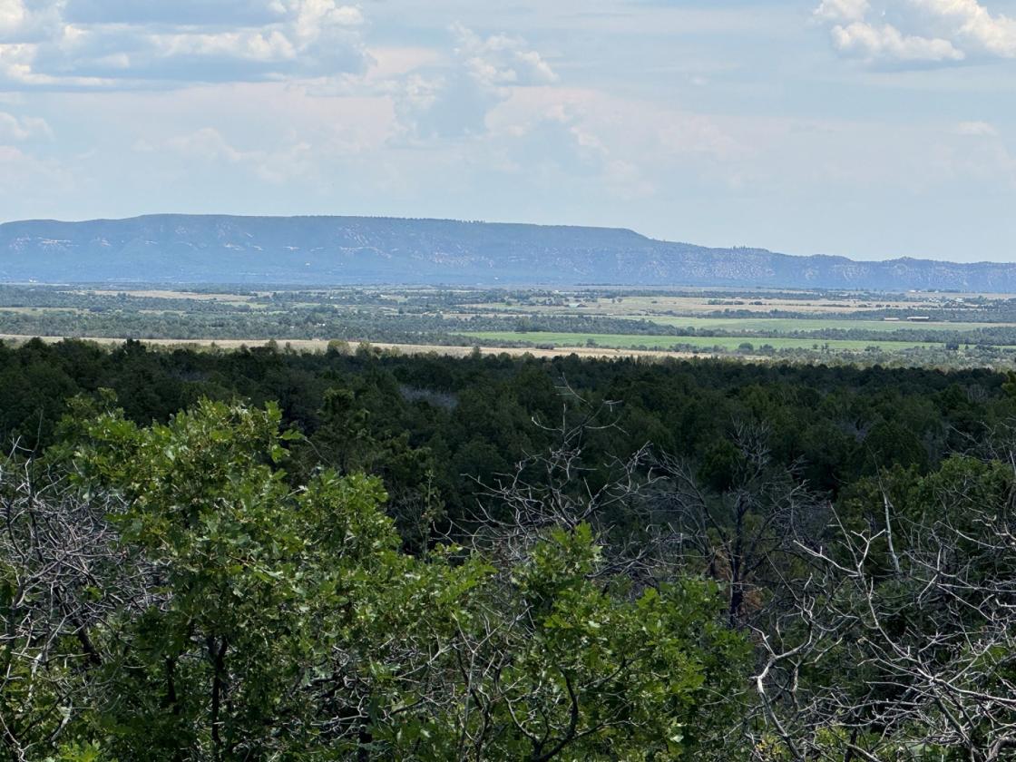 36 Acres of Mountain Land for Your Horses - photo 7