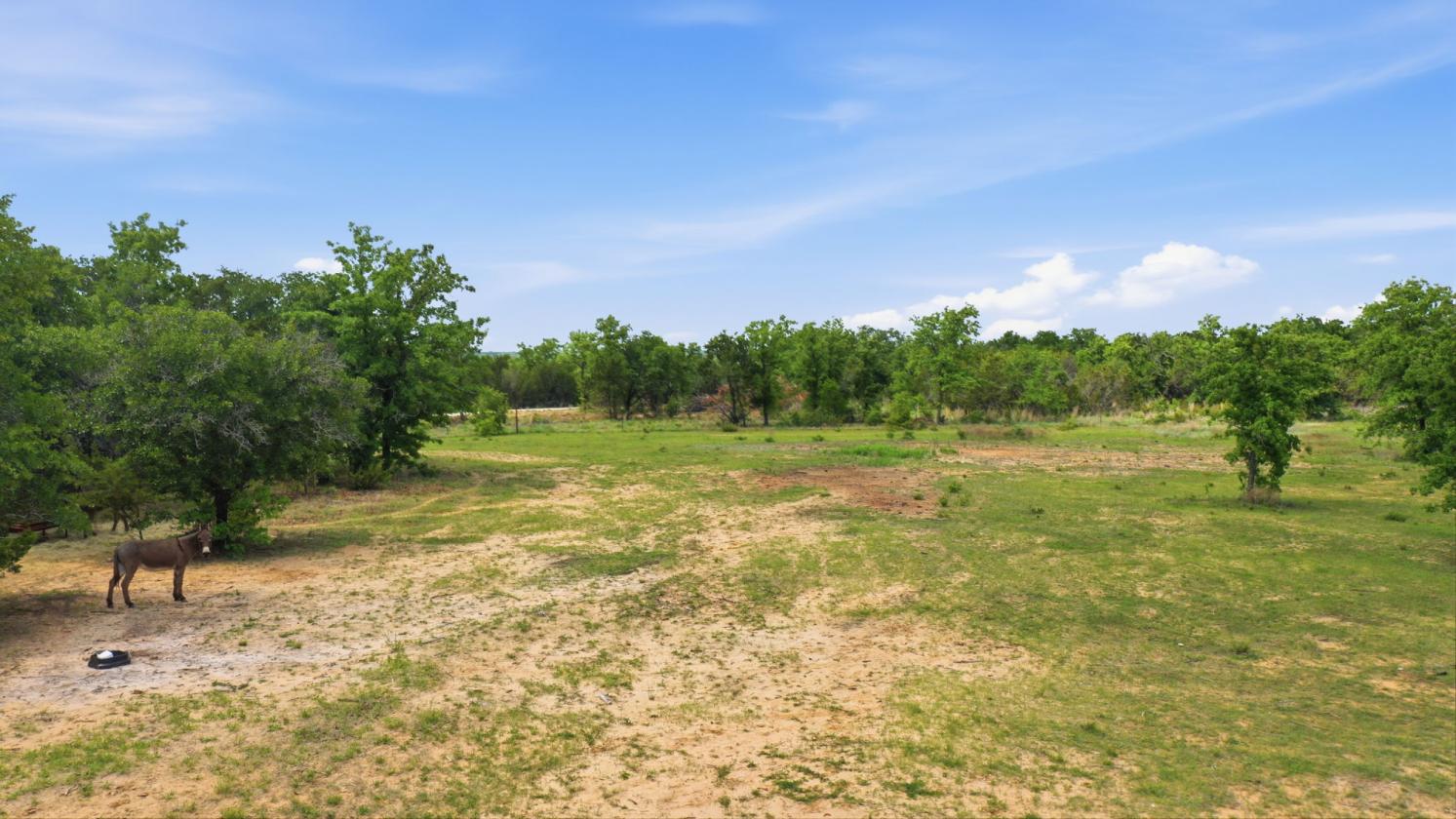 12-Acre Ag-Exempt Property - photo 20