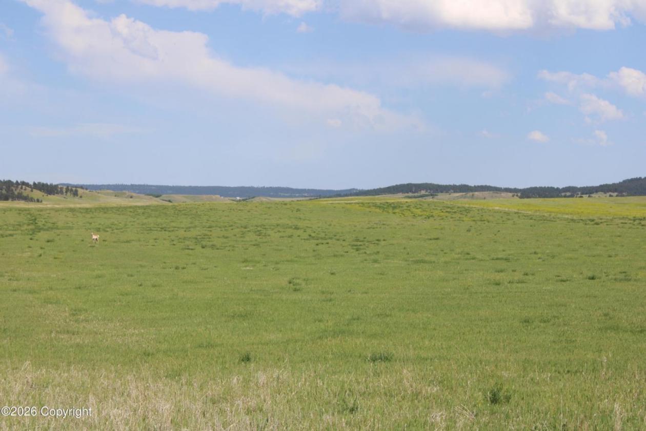 WY Horse Property with Views and NO Covenants! - photo 7