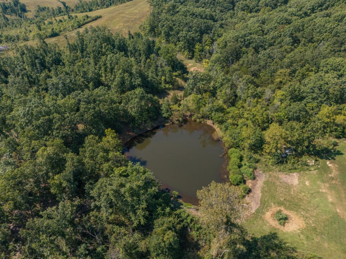 Bring your horses and your fishing poles! - photo 16