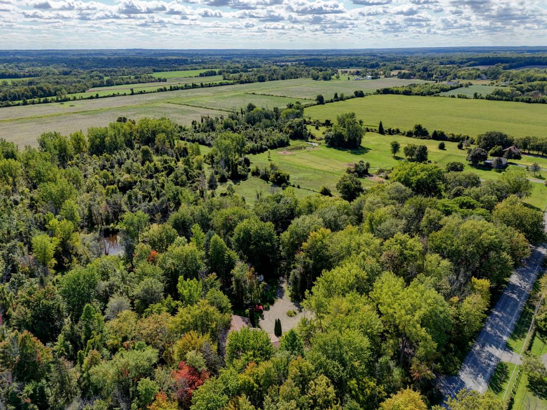 Horse Property for sale.