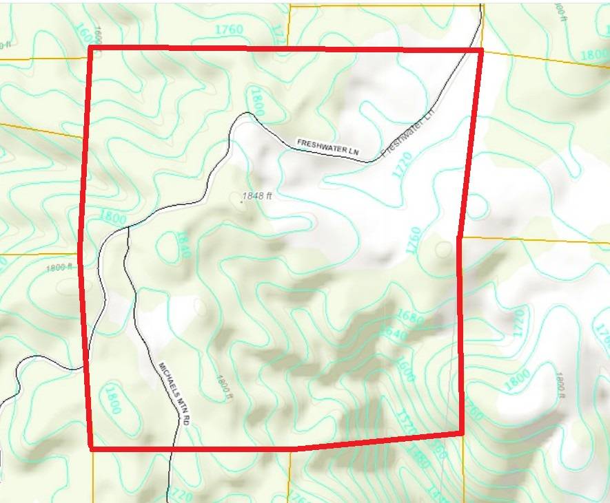 Beautiful Rolling 165 Acres, 100GPM Well too! - photo 8