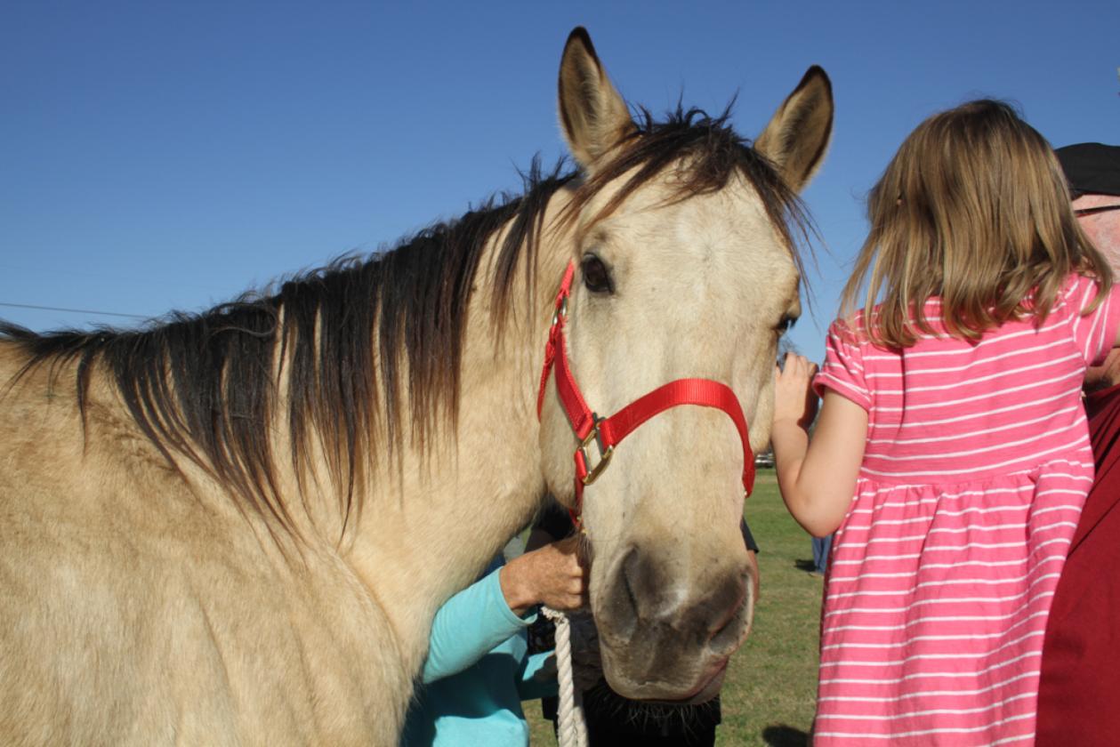 98± Acre Farm & Ranch North of San Antonio - photo 4