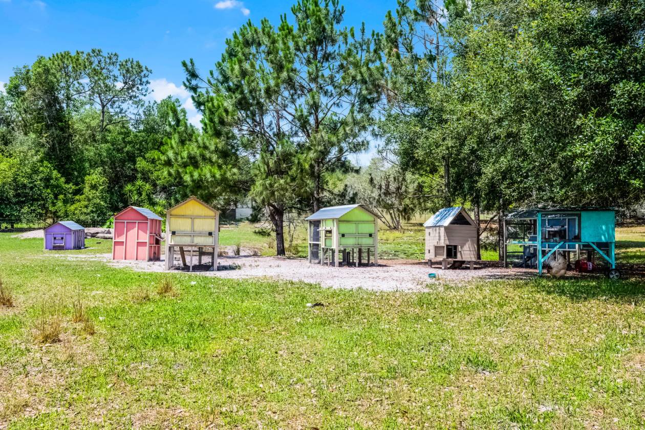 Private & Rare Wild Old Florida 36 Acre Gem - photo 4