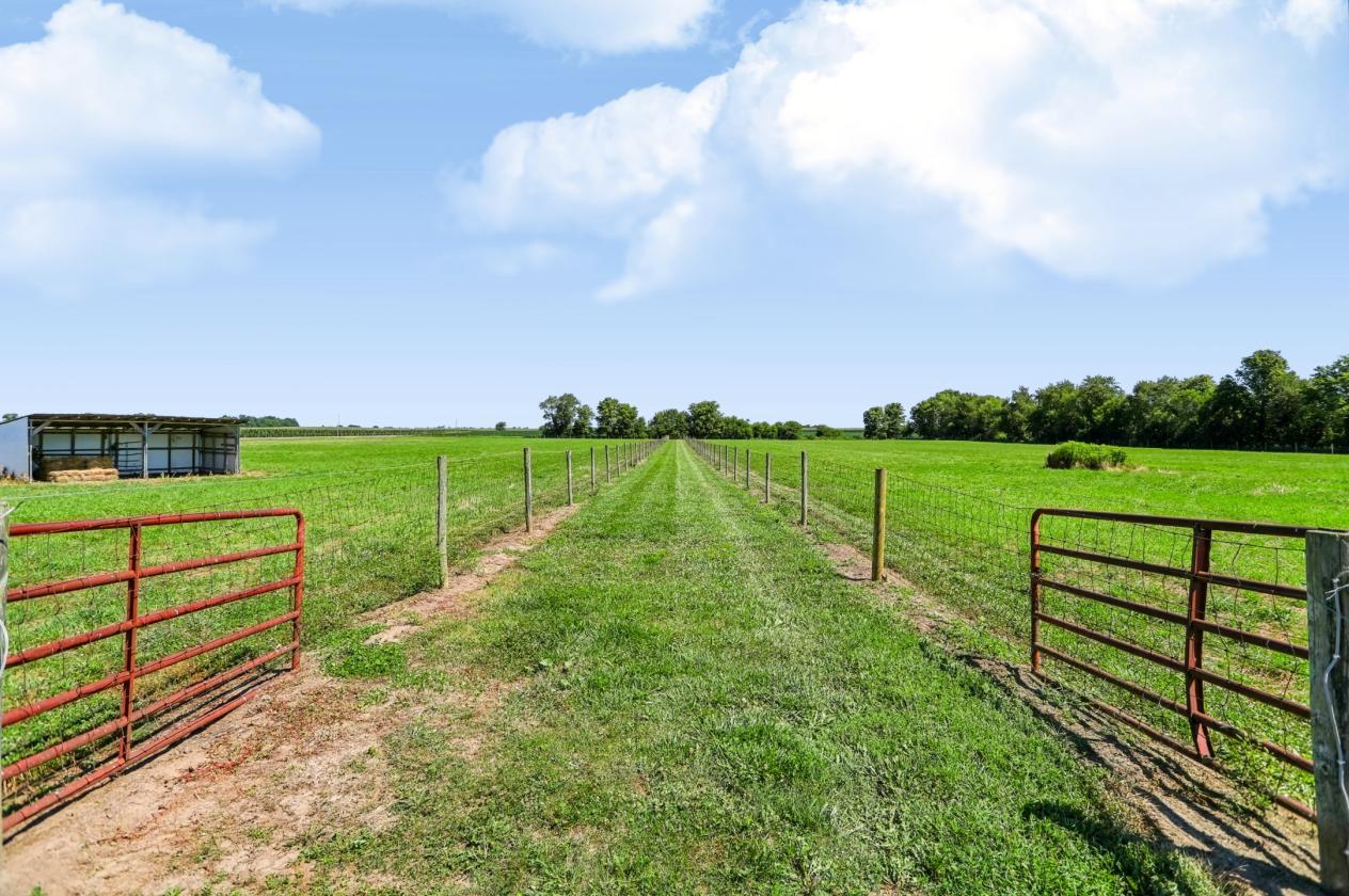Ideal Equestrian training & boarding facility - photo 27