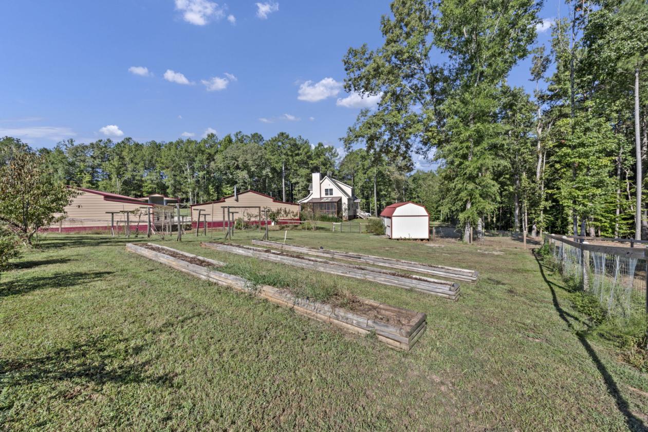 Horse Farm - photo 30