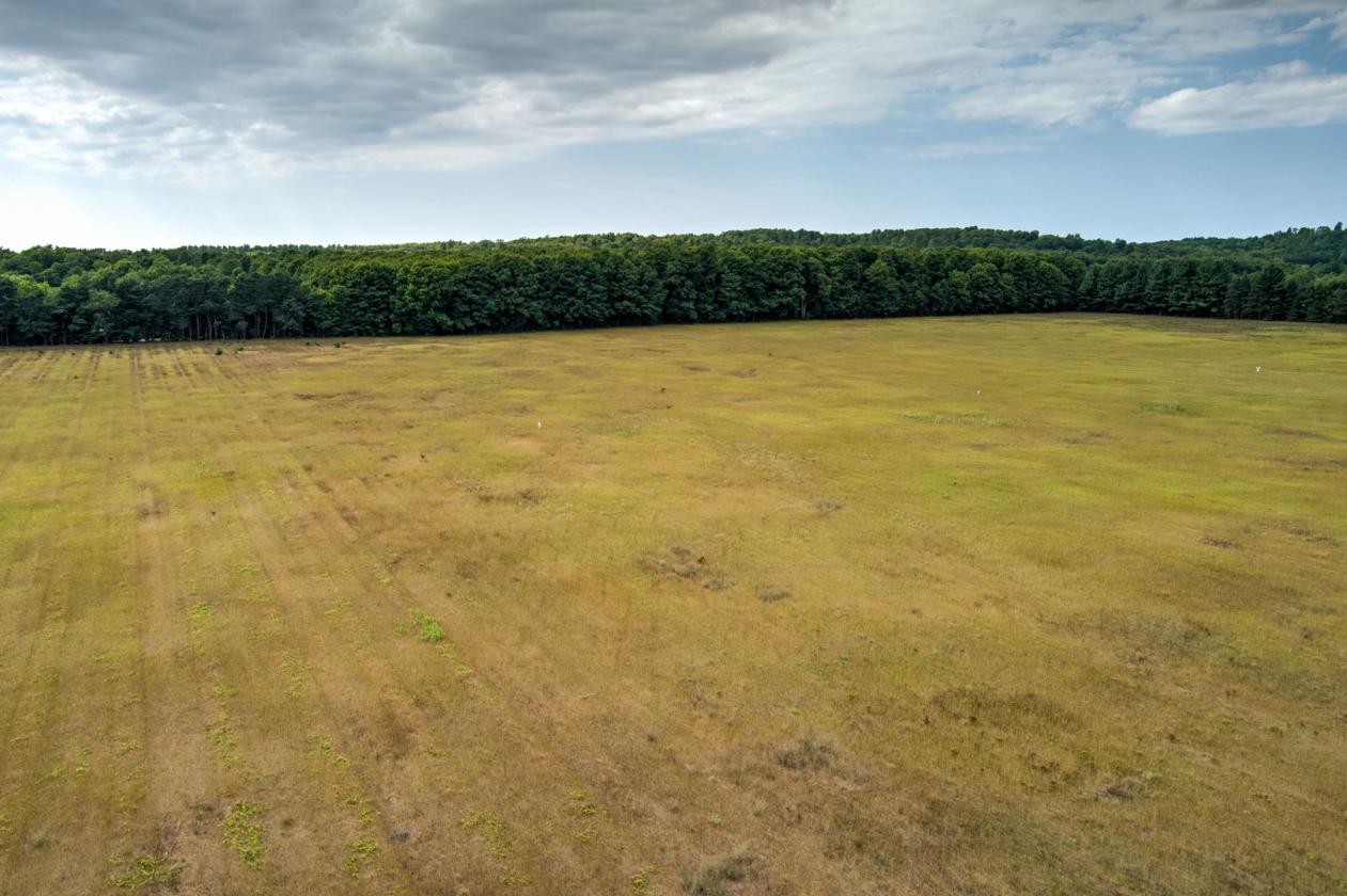 50.20 ACRES – BUILD YOUR EQUESTRIAN ESTATE & FARM - photo 5