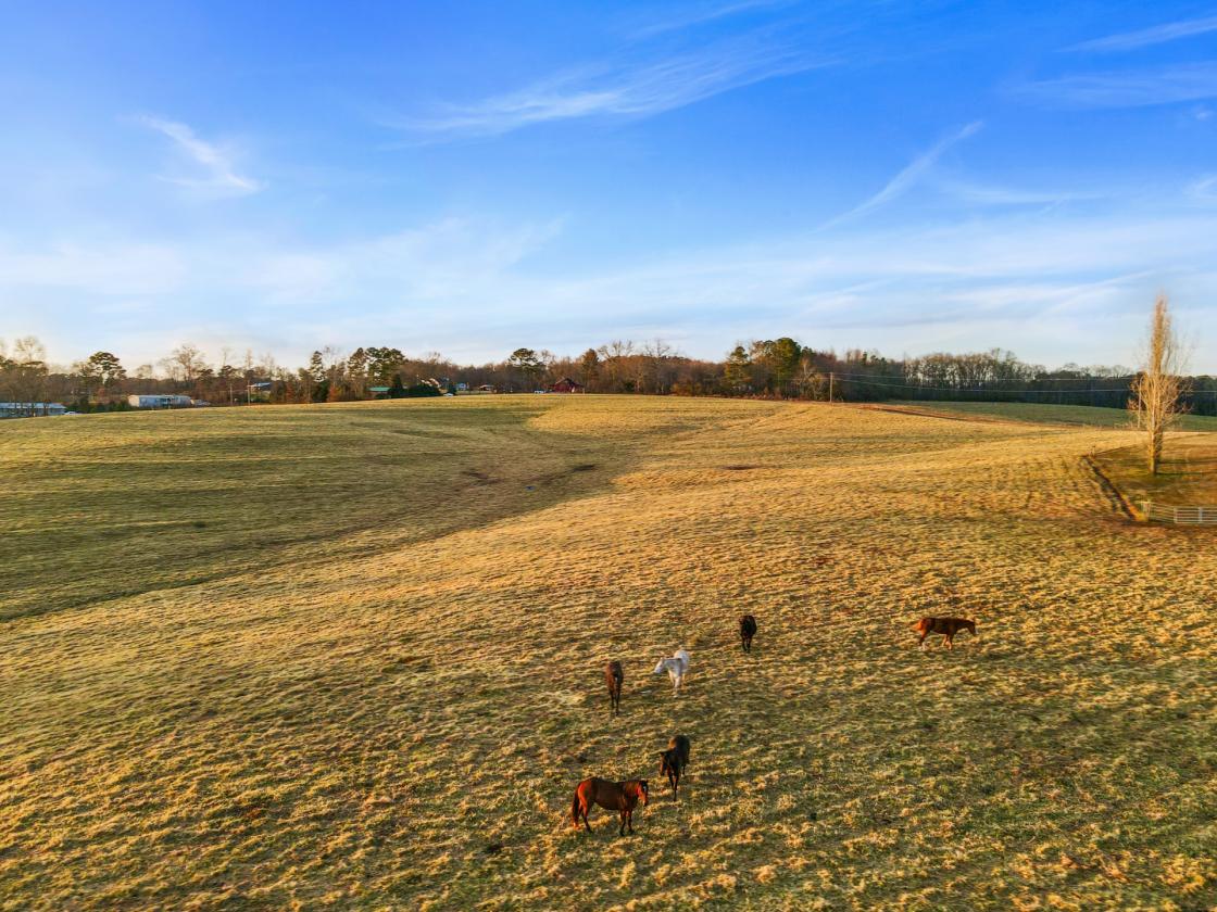 Macedonia Farm & Equestrian Estate - photo 26