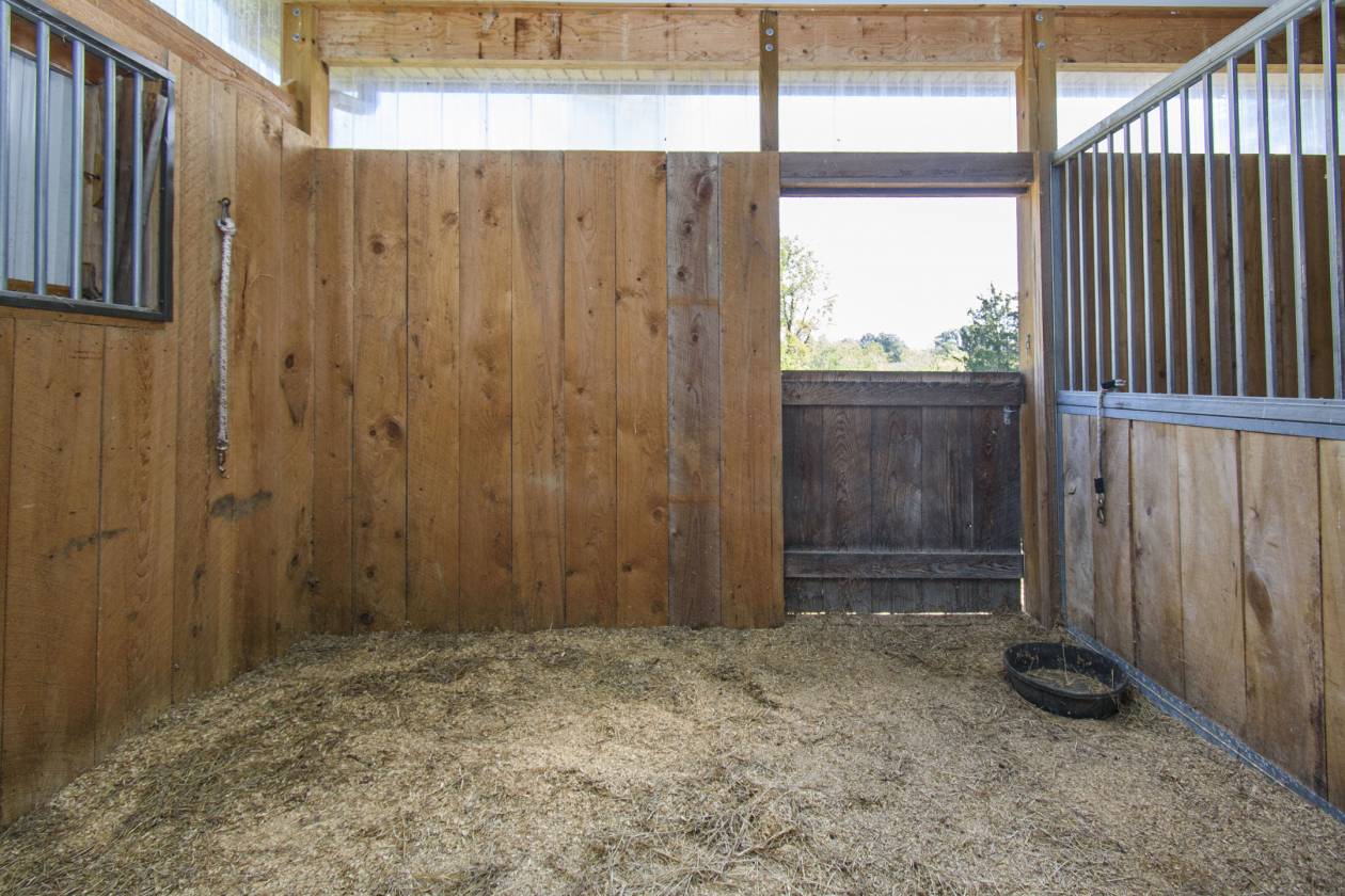 Where Elegance & Equestrian Freedom Come Together - photo 29