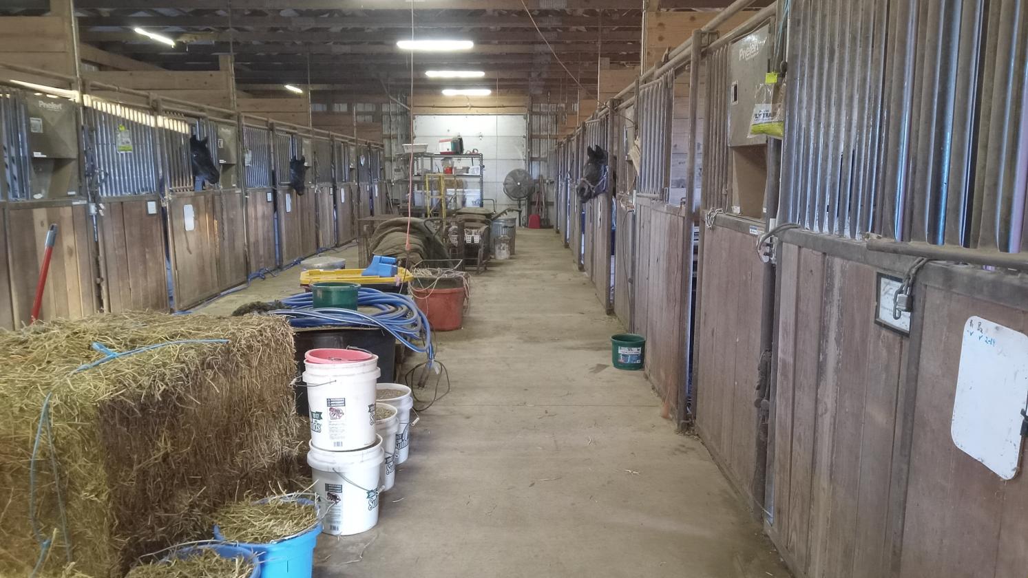 Investment opportunity/Equestrian Facility - photo 5