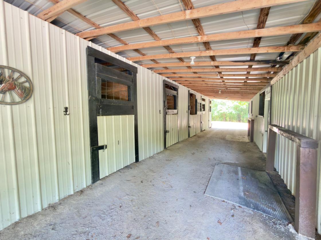 Luxury Equestrian Estate in Middle Tennessee - photo 7