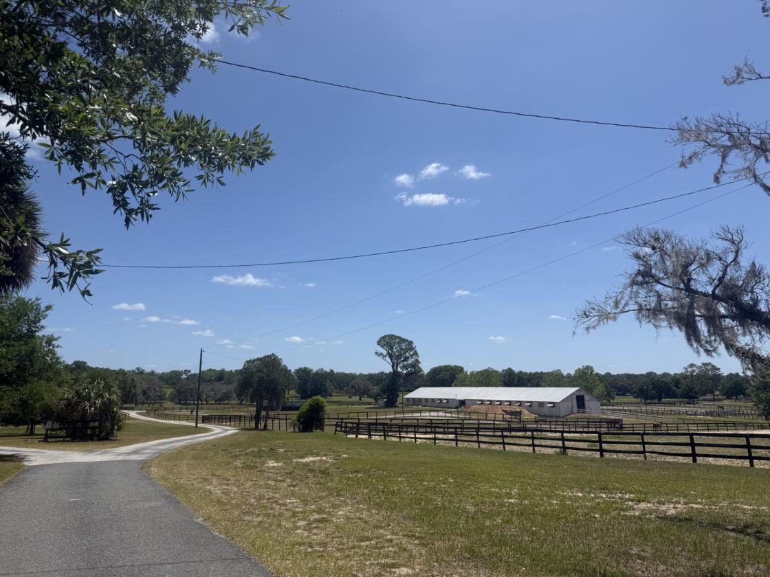 Tiffany Farm - 108 Acres - photo 14