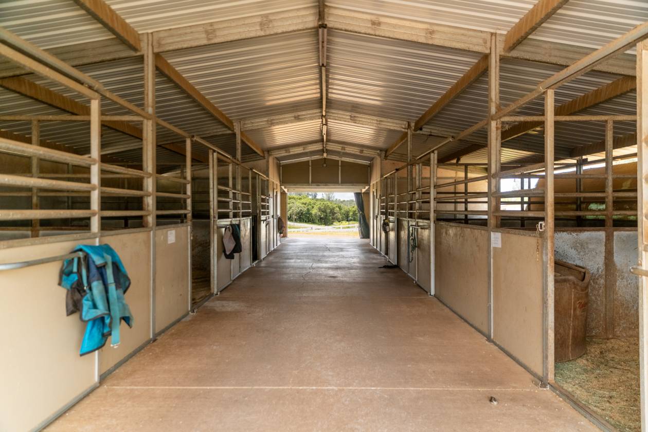 80 acre w/ 3-4 homes, 2 barns & 2 arenas +++ - photo 10