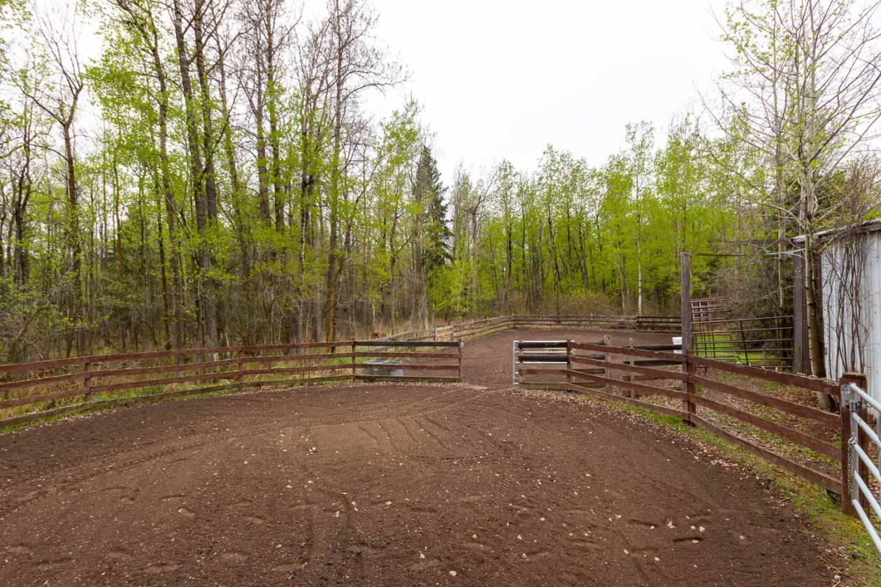 Amazing 80 acre ranch near Tawatinaw Valley Tawatinaw, Division No