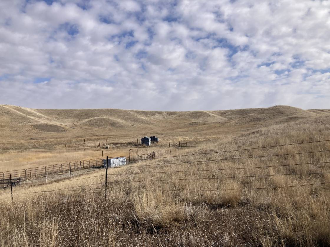 Horse Property for sale.