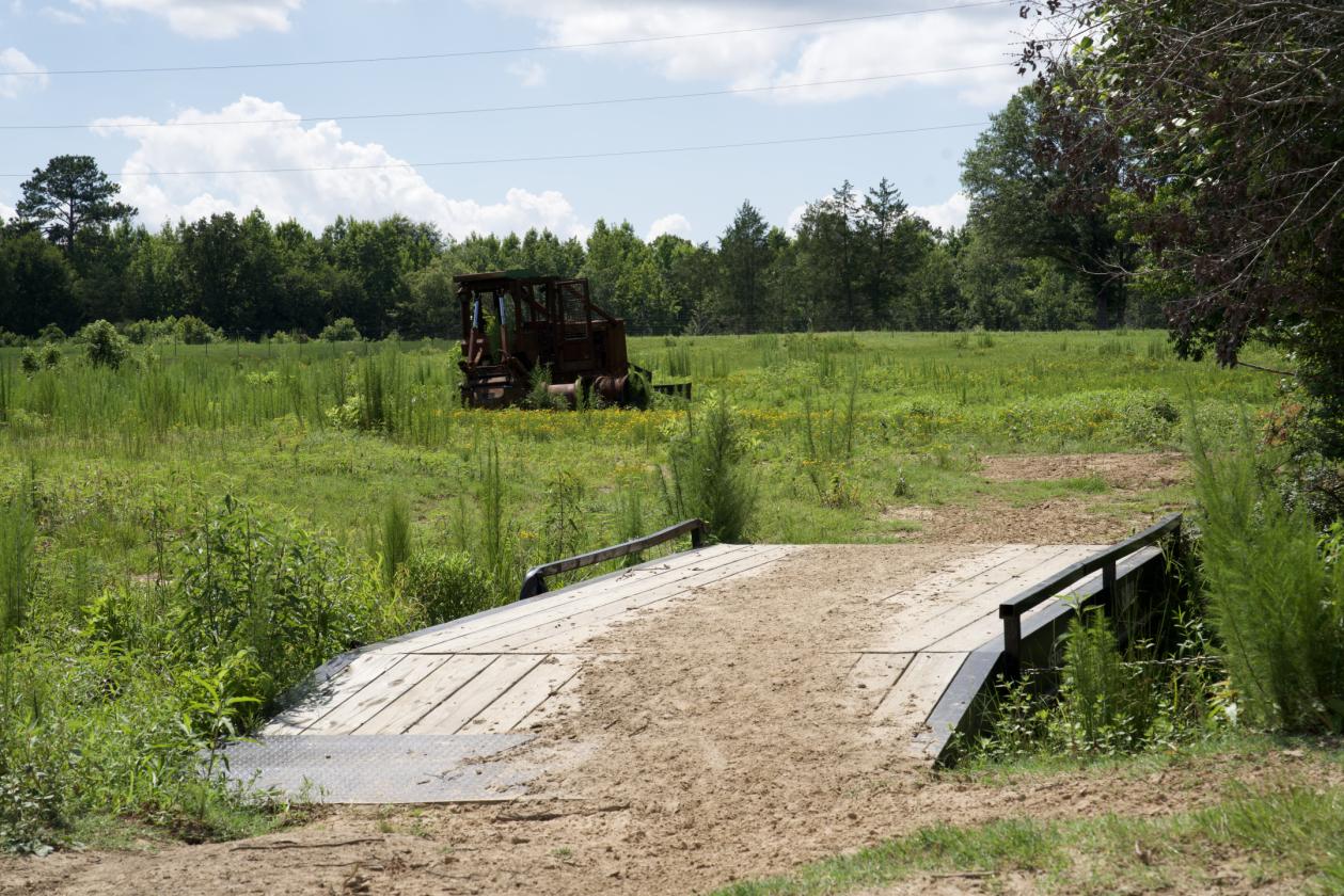 273+/- Acres With 20,000 Square Covered Arena - photo 25