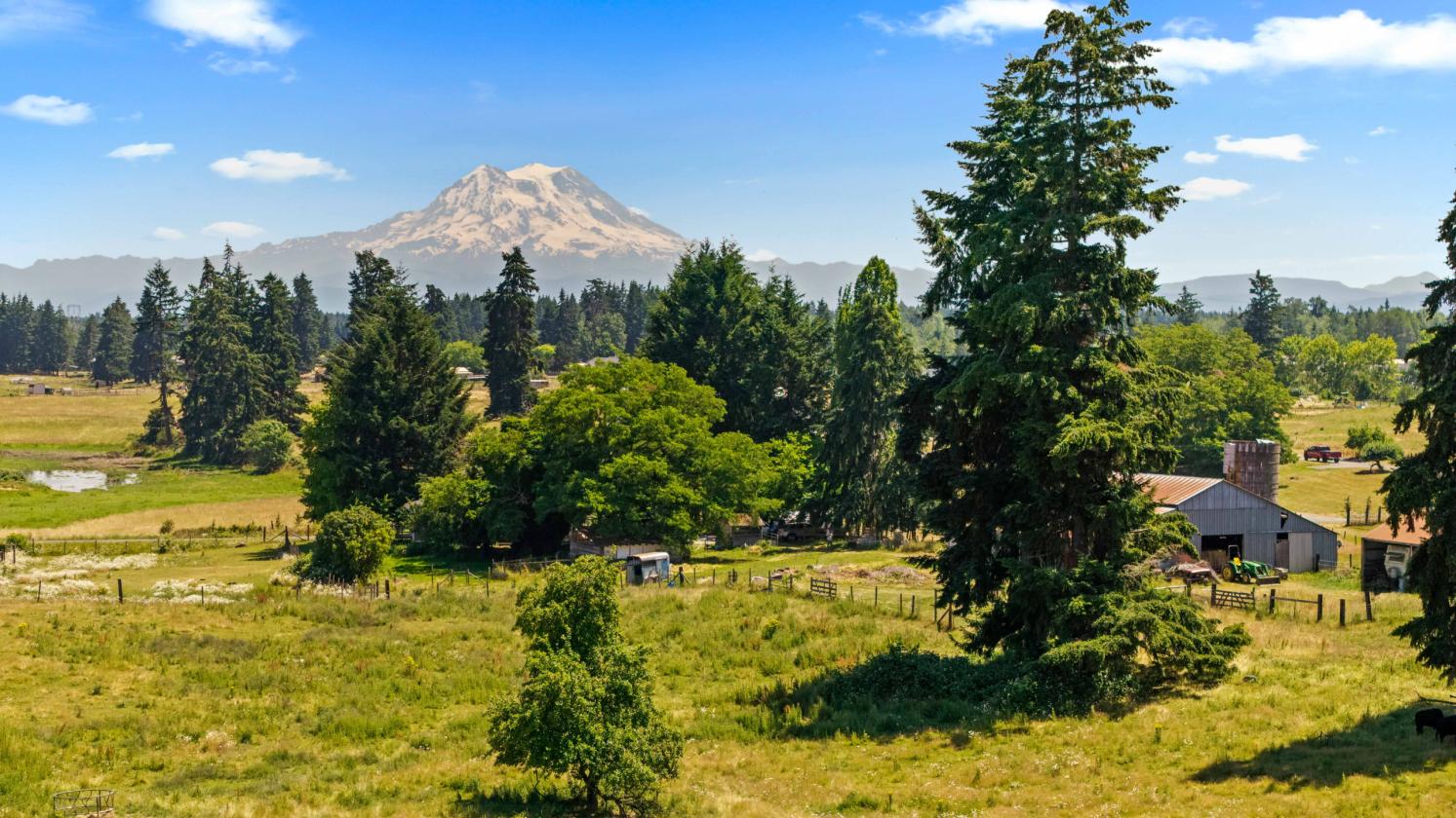 13.35 Acre Working Farm in Yelm, WA! - photo 4