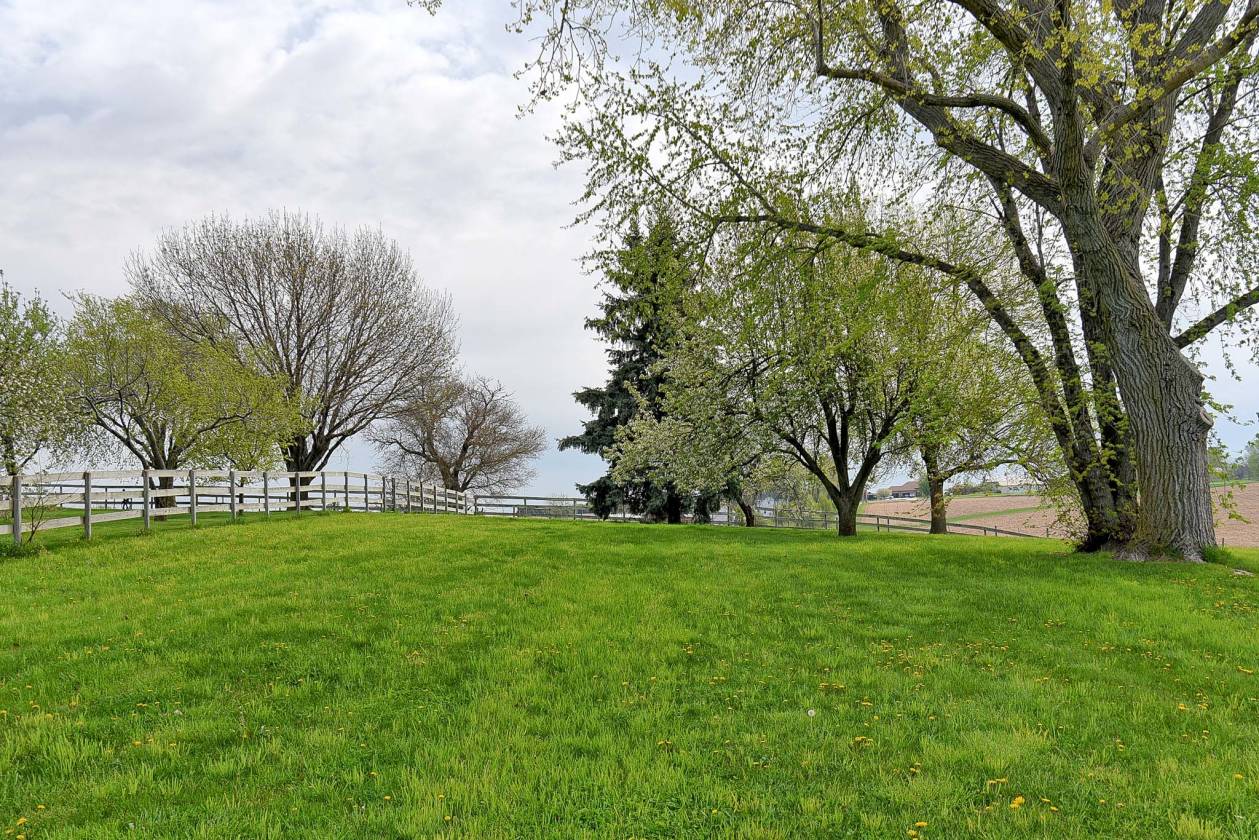 AMAZING ELKHORN ACREAGE READY FOR YOUR HORSES!! Elkhorn, Douglas