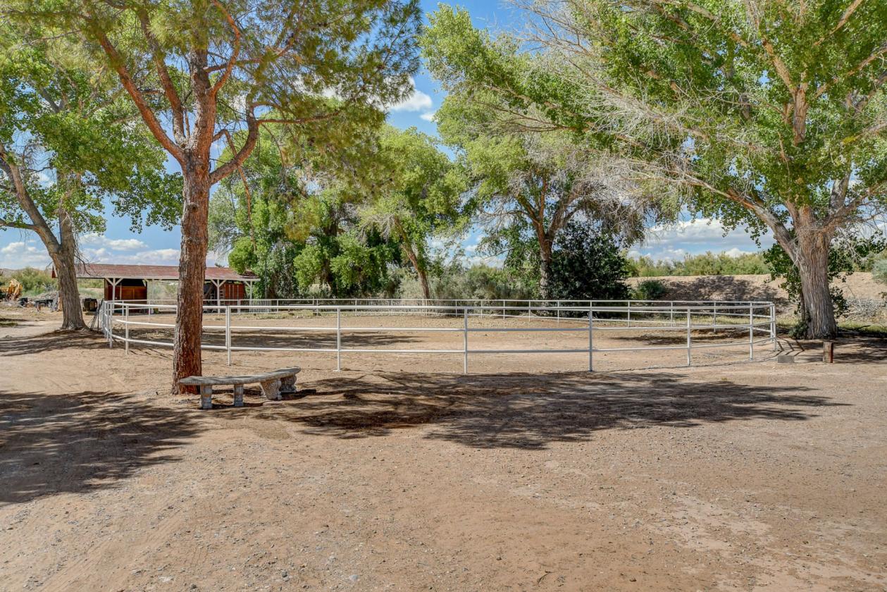 Custom Home, 2 Arenas, Barn, Orchard, WATER RIGHTS - photo 20