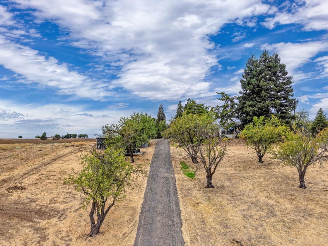 5-Acre Hobby Farm/Ranch - Horse-Ready! - photo 6