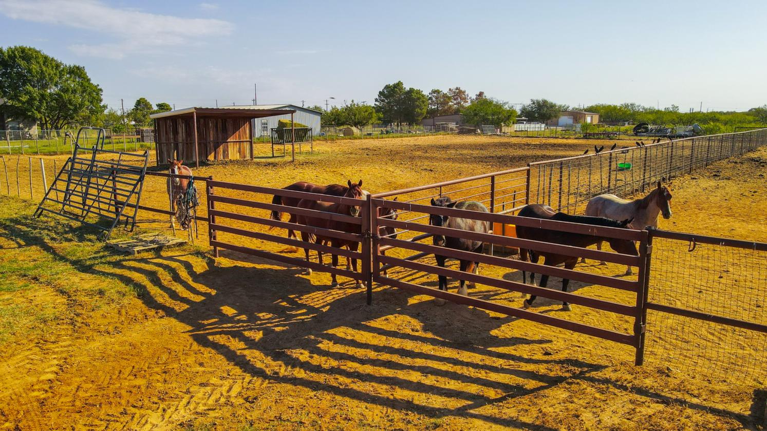 Premiere Cutting Horse Facility in Taylor County - photo 28