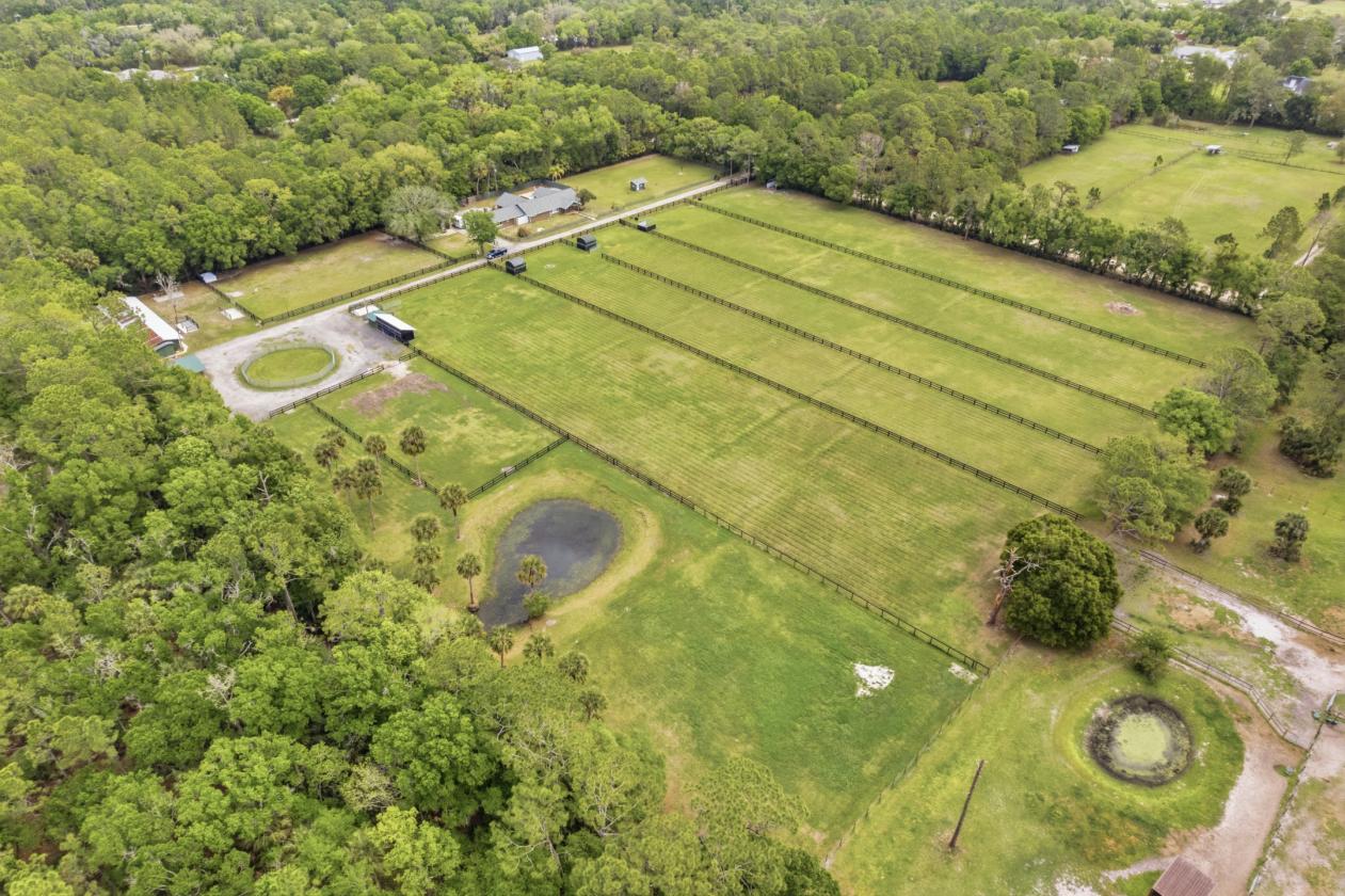 ''The Ranch'' at Tomoka Farms! - photo 1