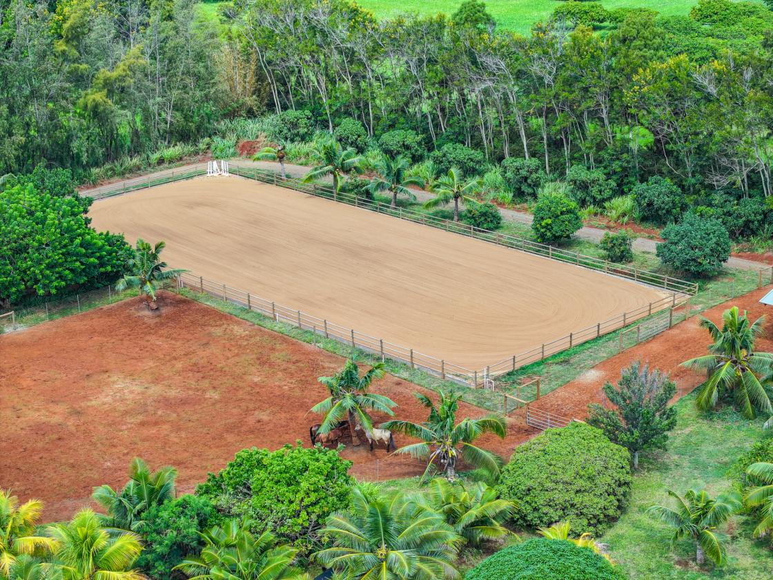 Agricultural & Equestrian Haven in Kauai - photo 29