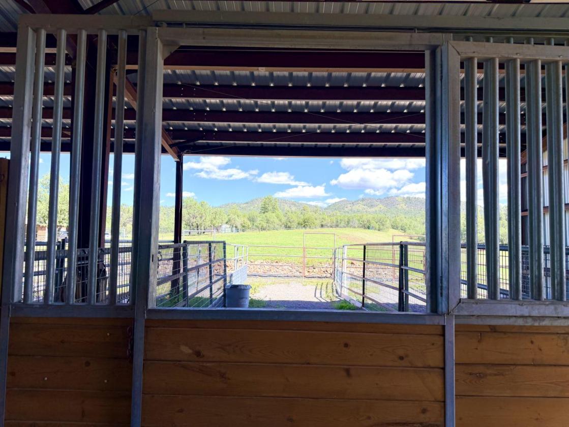 20+ Acre Horse Property w/ Direct Trail Access - photo 25