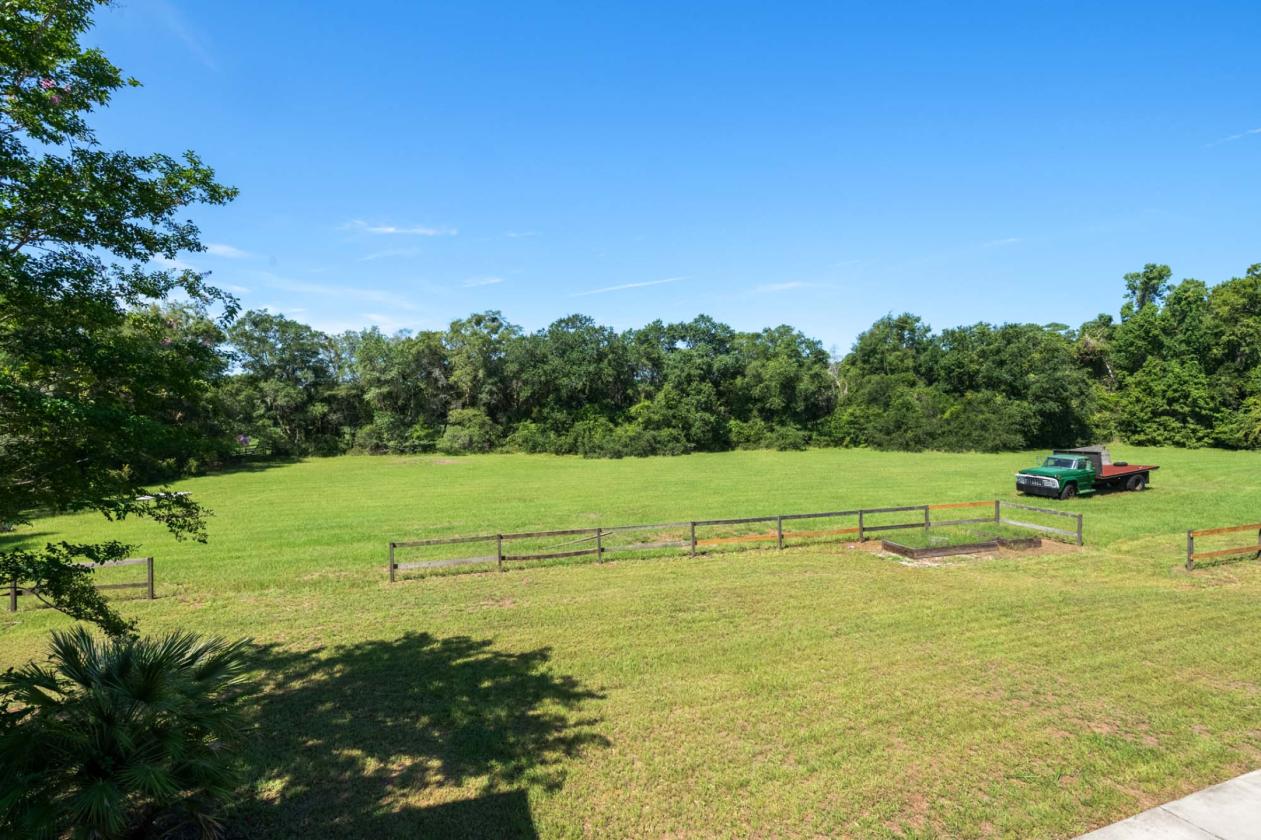 31 Acres with 4-Bedroom Raised Home - photo 7