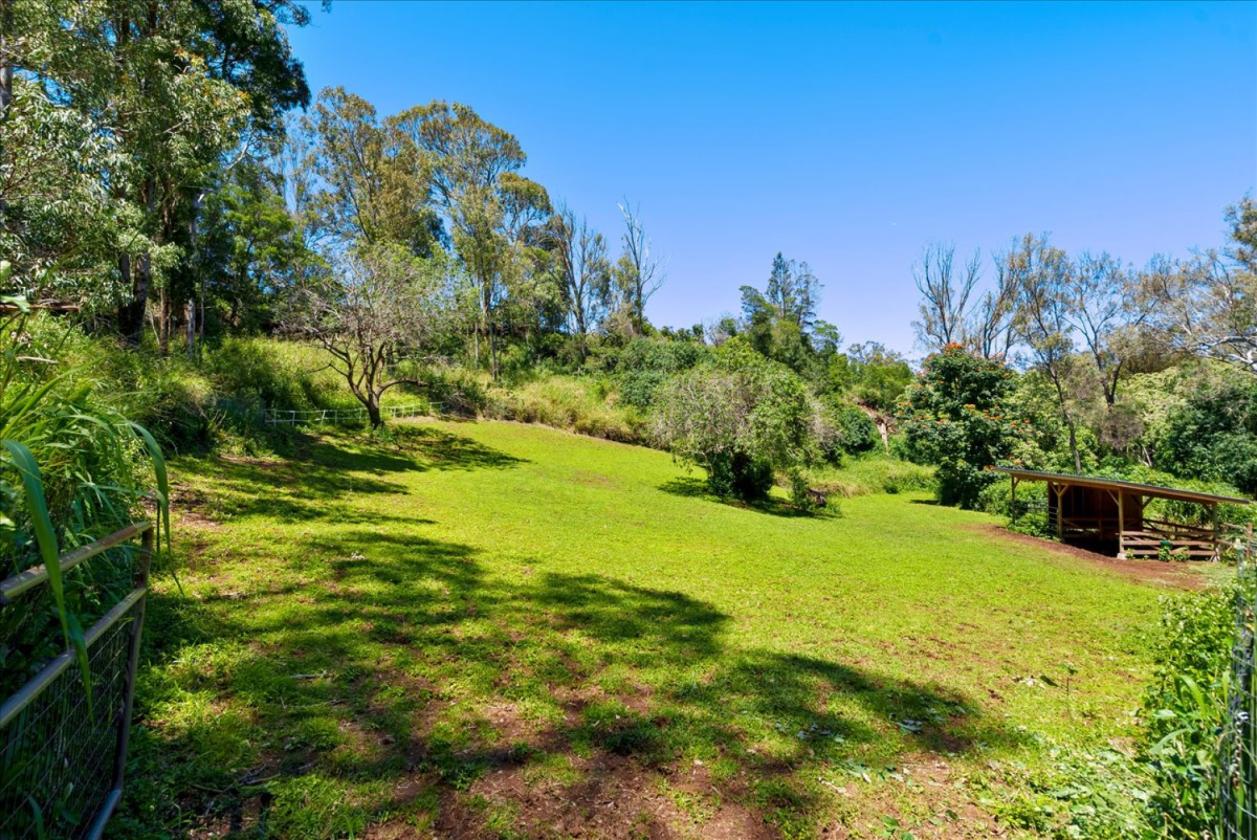 Working Horse ranch on Maui - photo 5