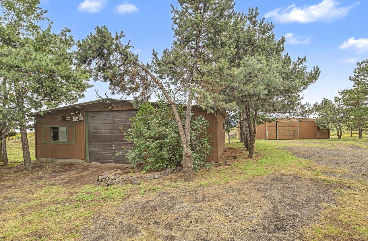 Horse Property on Nearly 4 Acres - photo 9