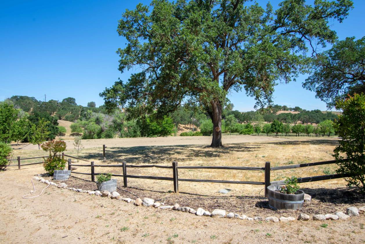 Beautiful Horse Ranch + Vacation Rentals Paso Robles, San Luis Obispo
