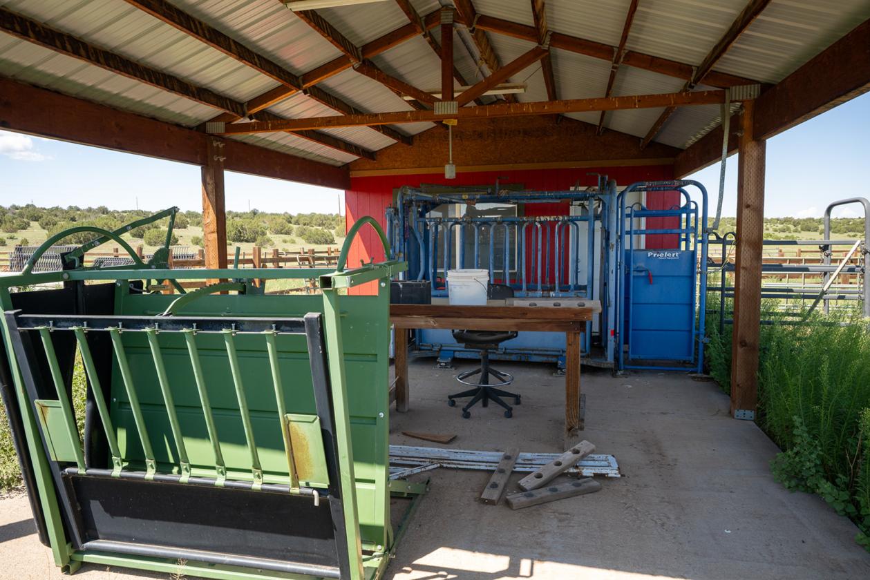 36 Acre Horse Ranch in the Wt. Mtns. of ARIZONA - photo 12