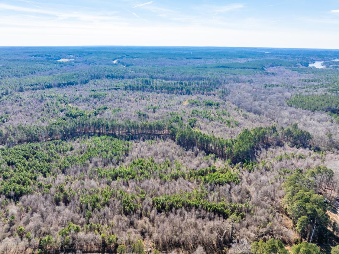 211 Acres- Luxury Estate & Equestrian Development - photo 23