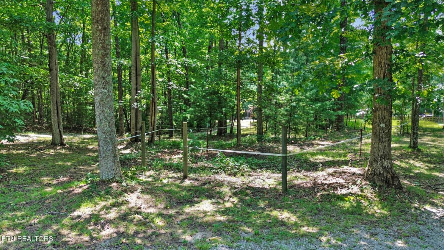 Cozy cabin in the woods, Big South Fork - photo 27