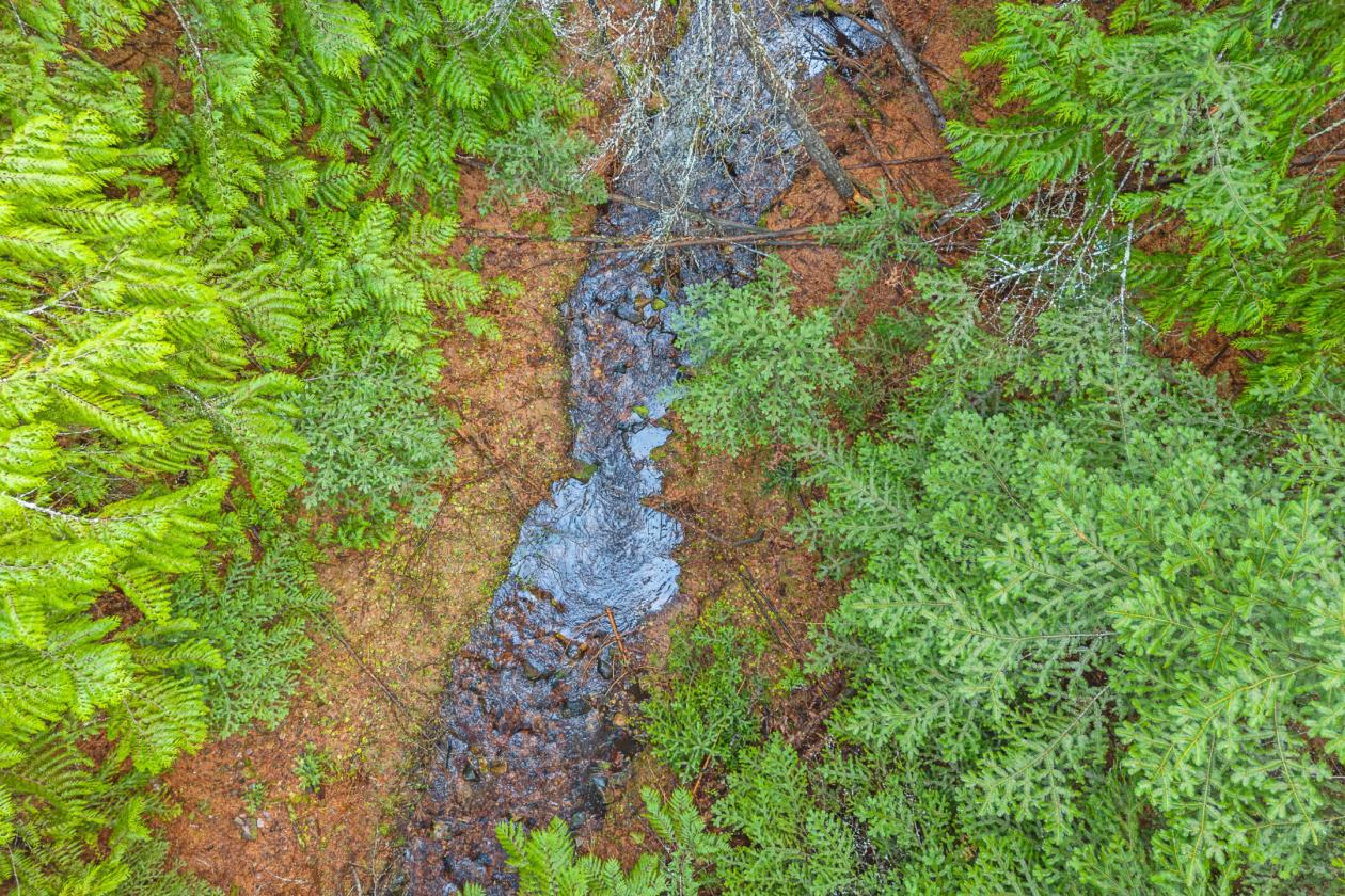 Level 20.65 acres w/Creek, Pasture & Woods - photo 23