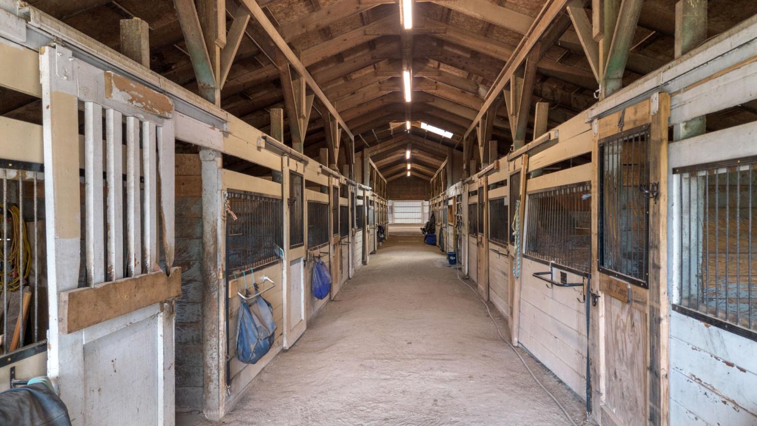 Equine training facility in the Capital District - photo 9