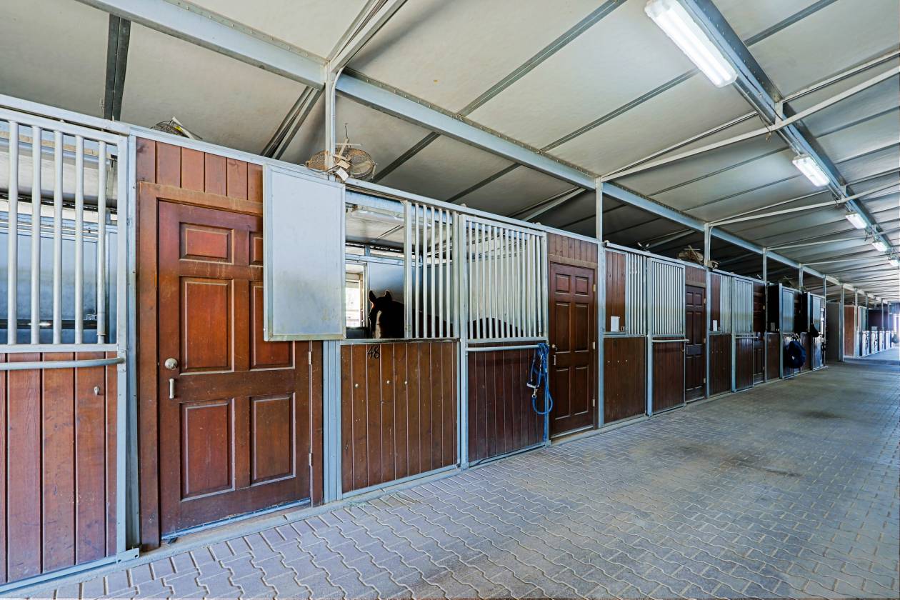 *PRICE Drop*PREMIER EQUESTRIAN TRAINING FACILITY - photo 8