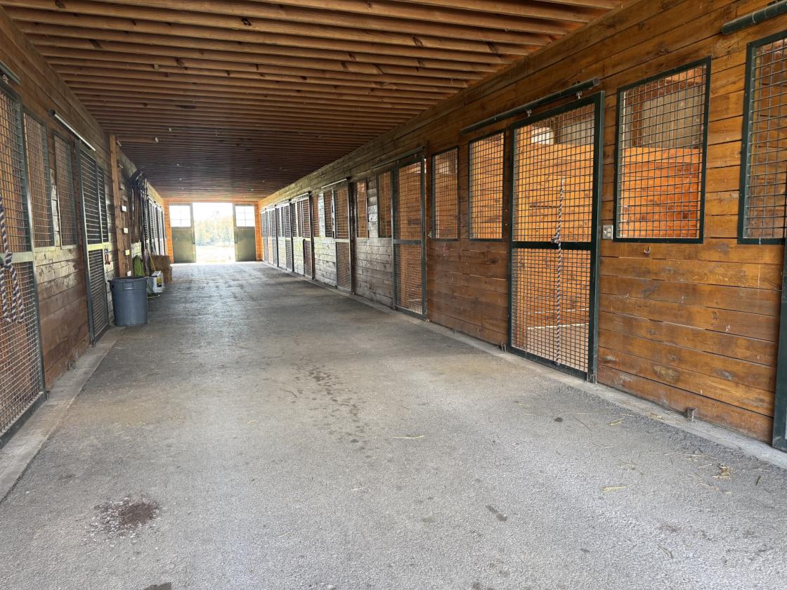 Turn-Key Horse Farm in the Heart of the Bluegrass - photo 4