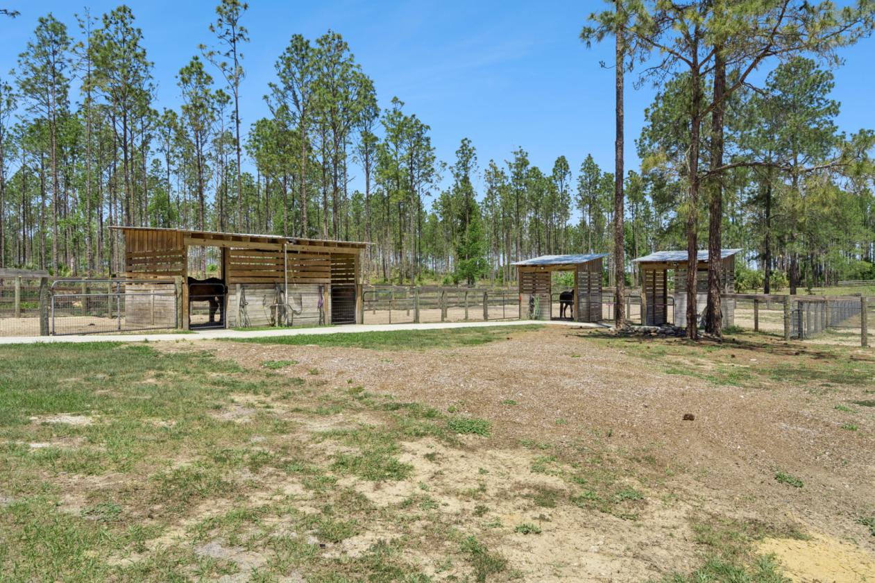 Turnkey Equestrian Retreat near Ocala - photo 11